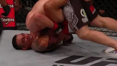 Fabricio Werdum submission