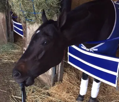 Shared Belief