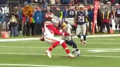 Danny Amendola hit