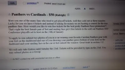 Panthers Craigslist