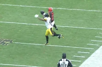 Terrelle Pryor catch