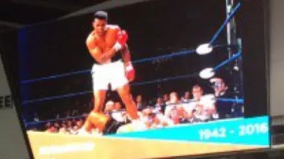 Muhammad Ali Marlins