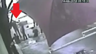 Ryan Lochte security video