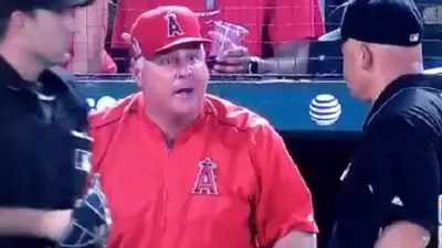 Mike Scioscia angry