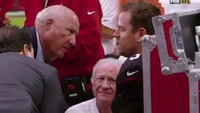 Carson Palmer concussion