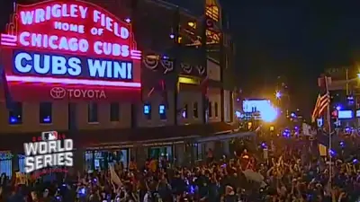 Cubs fans