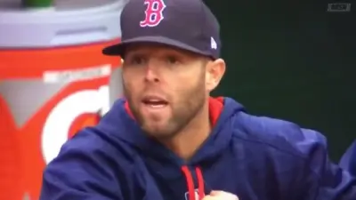 Dustin Pedroia