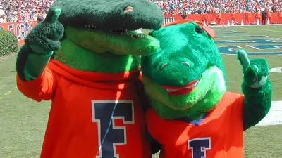 Florida Gators mascot
