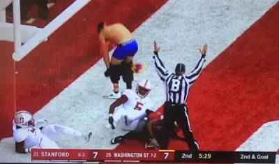 Washington State fan