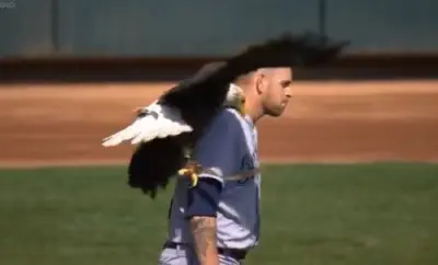 James Paxton eagle