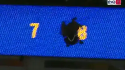 Goose scoreboard