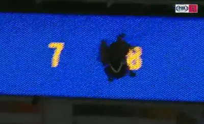 Goose scoreboard
