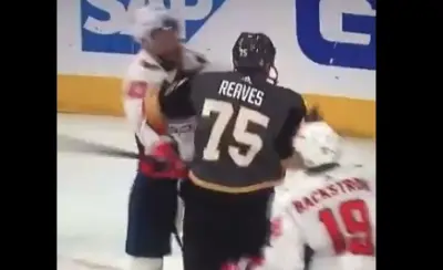 Ryan Reaves Tom Wilson