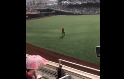 Arkansas fan