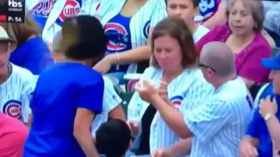 Cubs fan ball