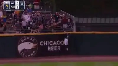 Adam Engel catch