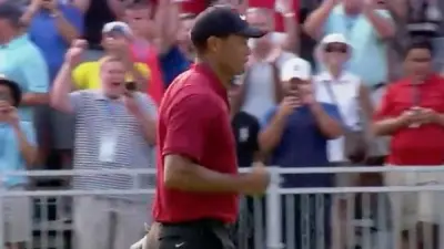 Tiger Woods red