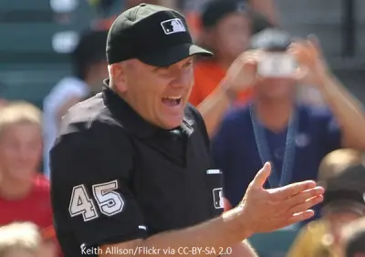 Jeff Nelson umpire
