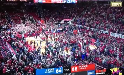 NC State fans