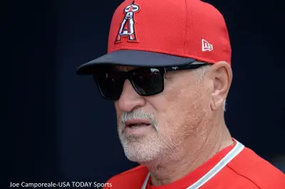 Joe Maddon