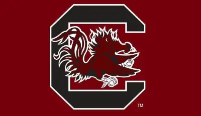 South Carolina Gamecocks logo