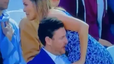 Cricket fan