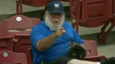 Brewers fan foul ball