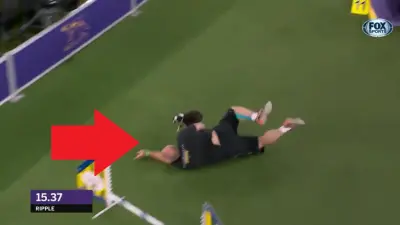 Trainer falls Ripple dog