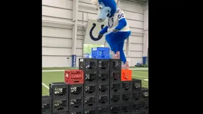 Colts Mascot Blue Crate Challenge