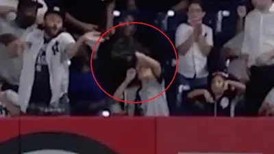 Yankees fan hit head