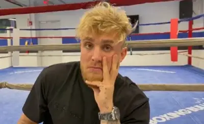 Jake Paul Canelo