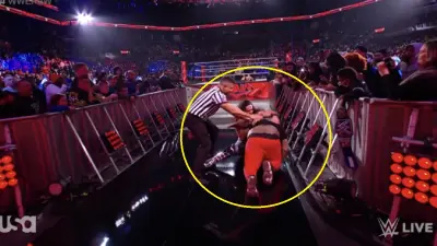 A fan attacks Seth Rollins