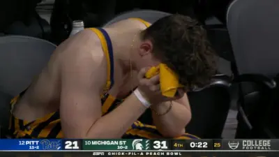 A sad Pitt fan