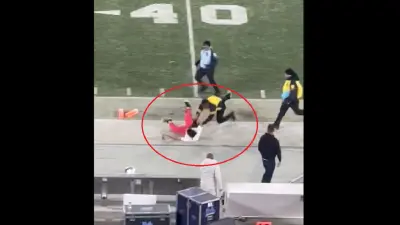 Fan gets hit by security