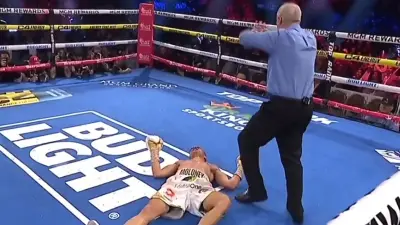Andrew Moloney on the canvas