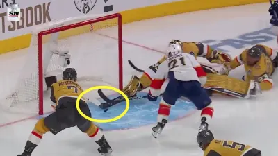Adin Hill makes an amazing save