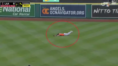 Kyle Tucker dives for a ball
