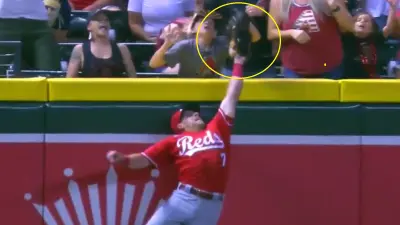 Fan interferes with a ball