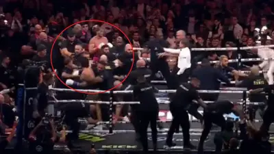 Logan Paul and Dillon Danis separated