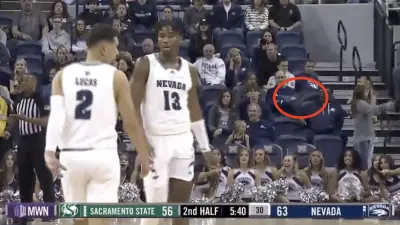 Bats invade court during Nevada-Sacramento State NCAA basketball game