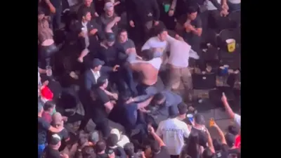 UFC fans fight in the stands