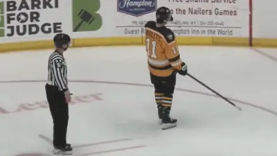 Peter Laviolette III ref
