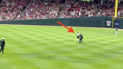 Reds fan gets tased after doing backflip
