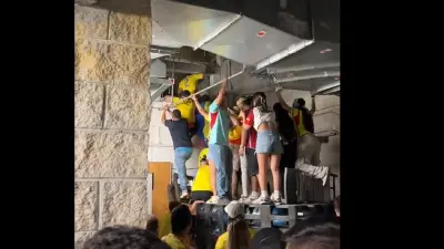 Fans crawl through a vent