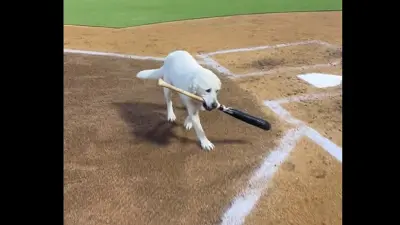 Layla carries a bat
