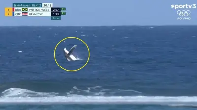 A whale splashing