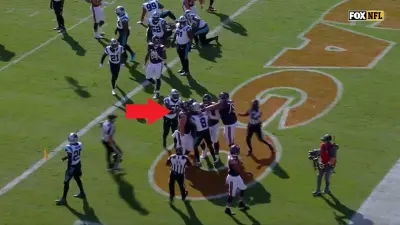 Panthers-Bears fight