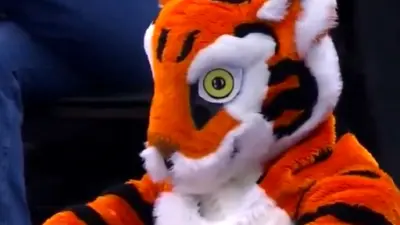 Clemson Tigers mascott