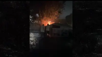 Alijah Arenas crash video