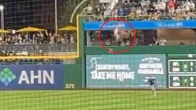 A Pittsburgh Pirates fan falling from an outfield wall